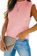 Priyavil Mockneck Sleeveless Solid Knit Top