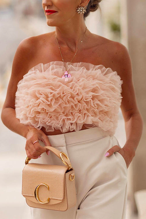 Priyavil Sweet Ruffle Mesh Crop Tube Top