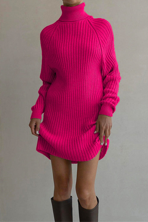 Priyavil Turtleneck Raglan Sleeves Ribbed Knit Mini Sweater Dress