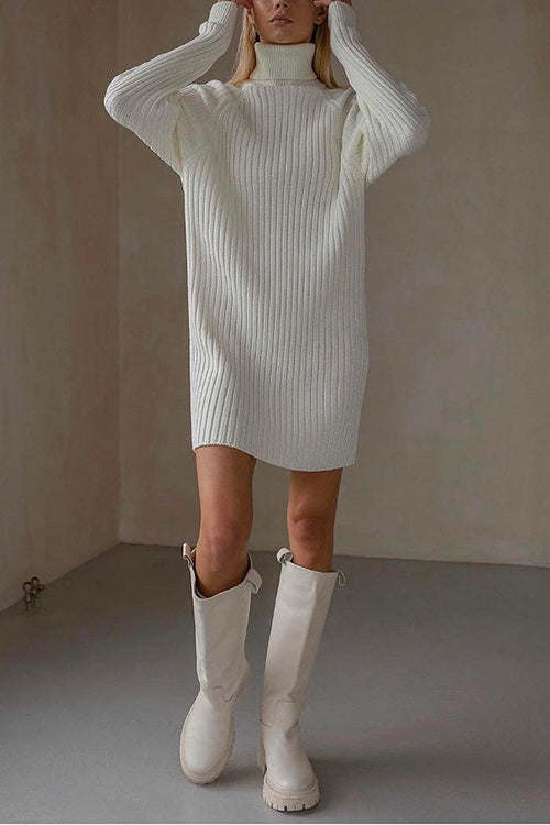 Priyavil Turtleneck Raglan Sleeves Ribbed Knit Mini Sweater Dress