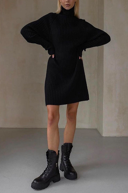 Priyavil Turtleneck Raglan Sleeves Ribbed Knit Mini Sweater Dress