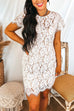 Priyavil Short Sleeve Hollow Out Lace Pencil Dress