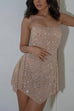 Priyavil Sheer Embellished Asymmetric Hem Mini Cami Dress