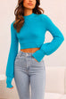 Priyavil Crewneck Ribbed Knit Slim Fit Crop Sweater