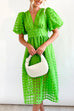 Priyavil V Neck Lantern Sleeve Waisted A-line Dress
