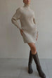 Priyavil Turtleneck Raglan Sleeves Ribbed Knit Mini Sweater Dress