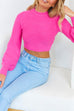 Priyavil Crewneck Ribbed Knit Slim Fit Crop Sweater